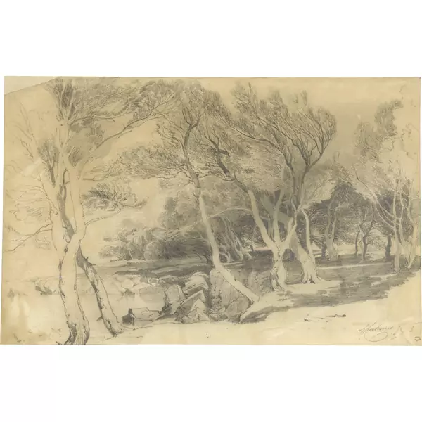 Alexandre Calame — Pinède sur l'île St. Honorat près de Cannes — Galerie Kornfeld