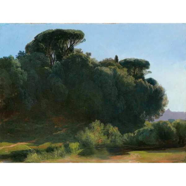 Alexandre Calame — BOSQUET D'ESSENCES DIVERSES DONT DES PINS PARASOLS ET PETIT ÉTANG COPPICE OF VARIOUS TREES INCLUDING PARASOL PINE WITH SMALL POND