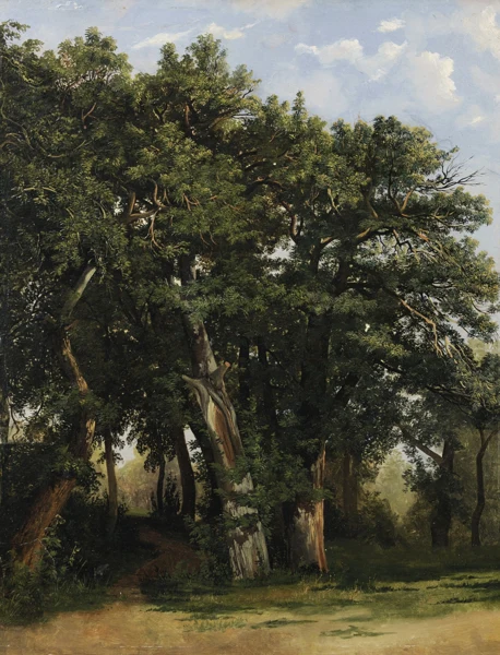 Alexandre Calame — Groupe de chênes