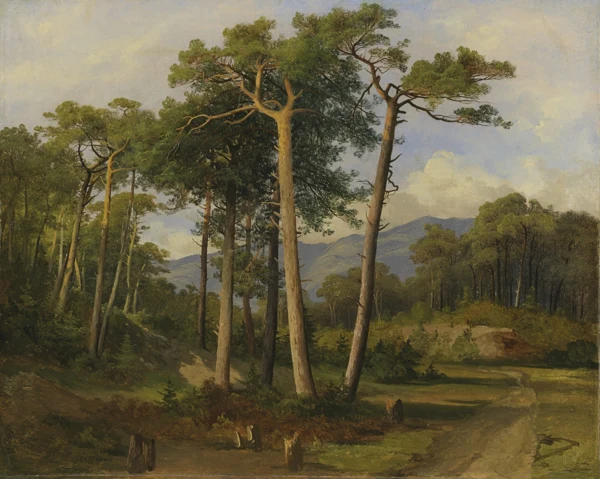 Alexandre Calame — Pins dans la forêt de Finges