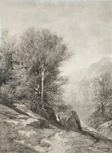 Alexandre Calame — Groupe d'arbres au lac des Quatre-Cantons
