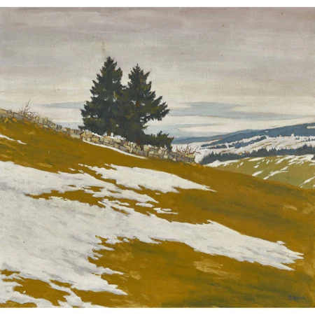 "Tache de neige"