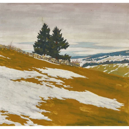 "Tache de neige"