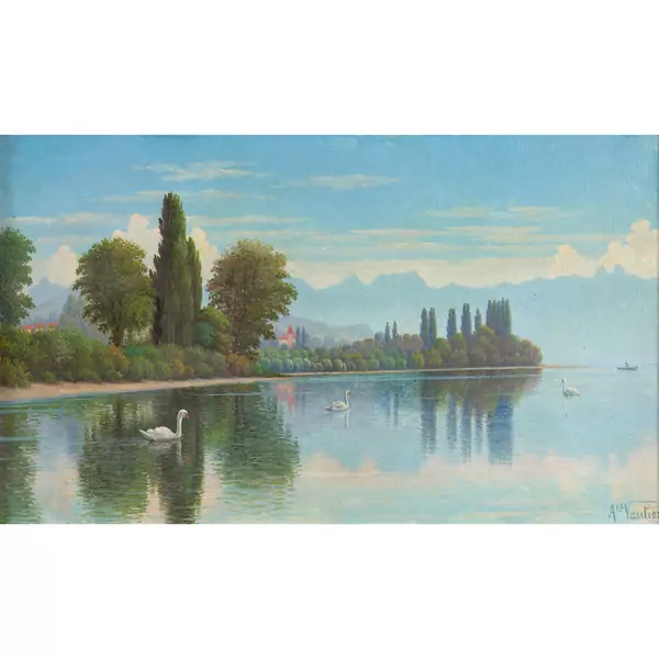 Cygnes sur le lac Léman