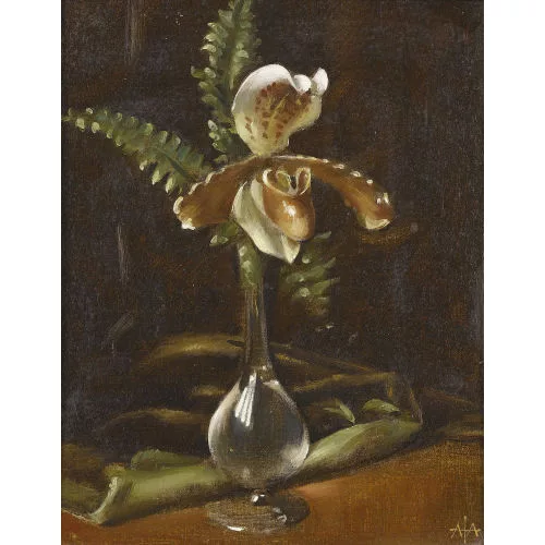 Alfred Anklin — Stillleben mit Orchideenblüte in Glasvase.