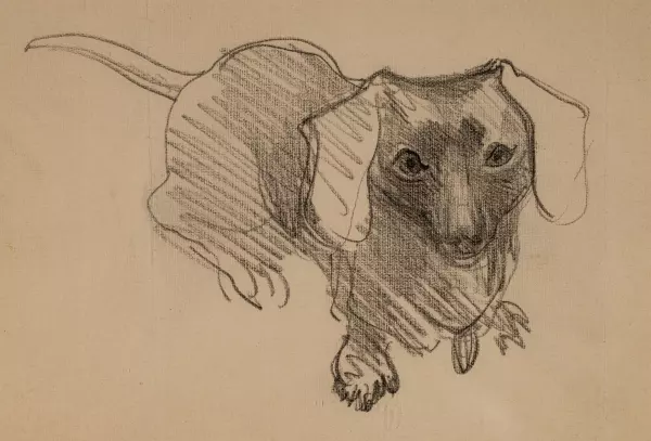 Dackel