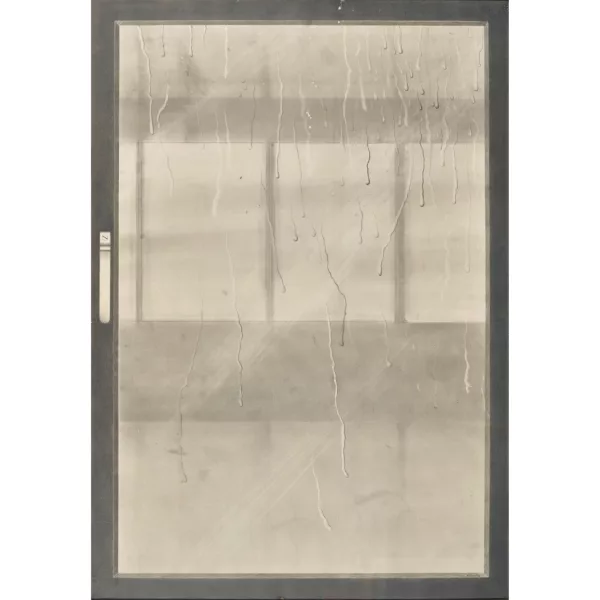 Alfred Hofkunst — Das Fenster.