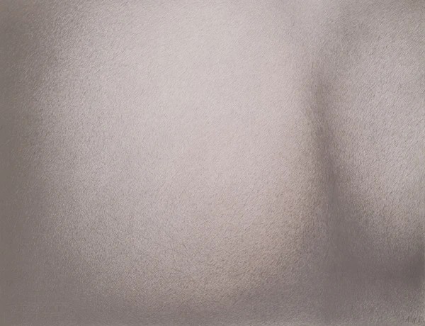 Alfred Hofkunst — Hintern, 1983