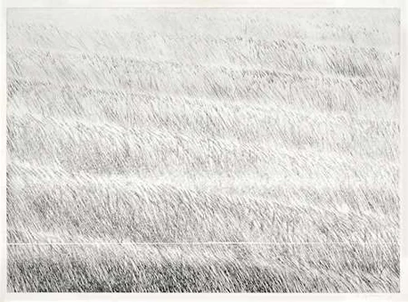 ALFRED HOFKUNST — Lavendelfeld. 1981. — Koller Auktionen