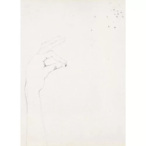 Alfred Hofkunst — Fliegen.