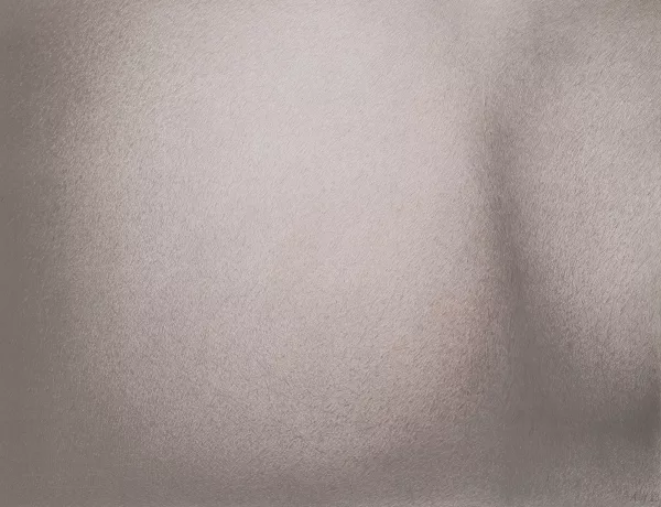 Alfred Hofkunst — Hintern, 1983