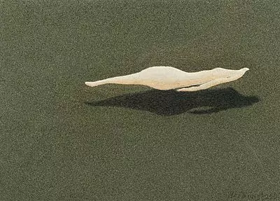 Alfred Hofkunst — März 2019 (A152) - Auktionsstart: 22.3.2019, 11:45 — Schuler Auktionen
