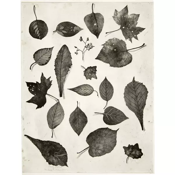 Alfred Hofkunst — Feuilles mortes — Galerie Kornfeld