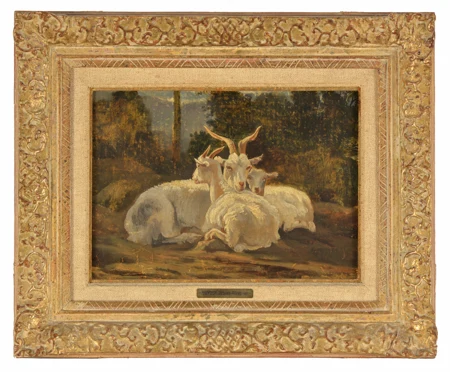 Chèvres