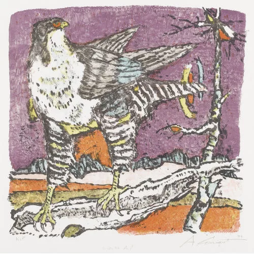 Alois Carigiet — Falke.