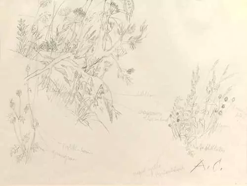 ALOIS CARIGIET — Blumenstudie. — Koller Auktionen