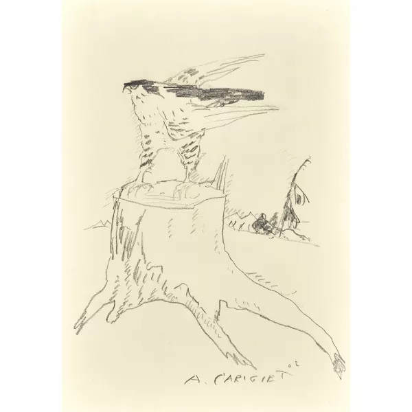 Alois Carigiet — Falke auf Baumstrunk.