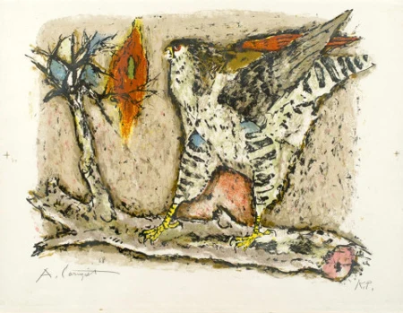 Falke, 1968