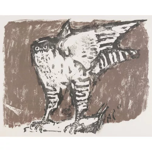 Alois Carigiet — Falke.