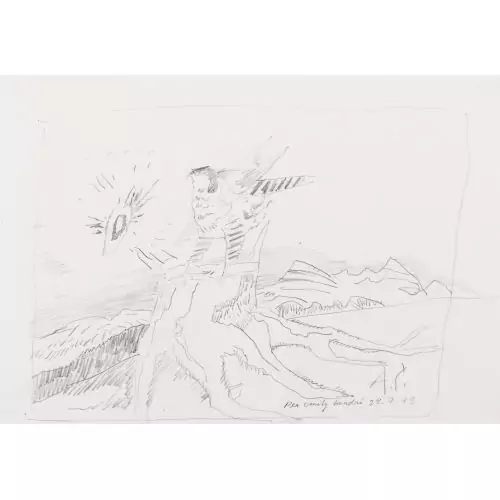 Falke auf Baumstrunk
