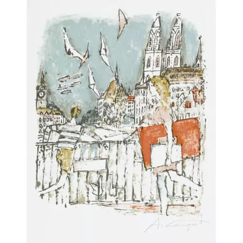 Blick aufs Grossmünster