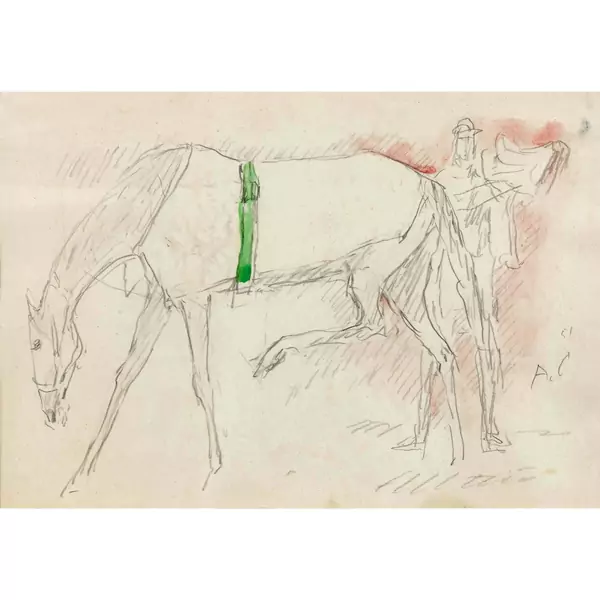 Reiter und Pferd