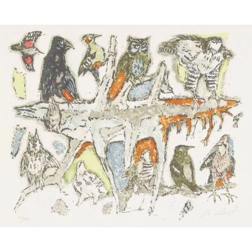 Alois Carigiet — Vogelwelt.