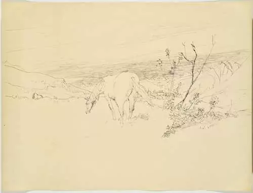 ALOIS CARIGIET — Weidendes Pferd. 1945. — Koller Auktionen
