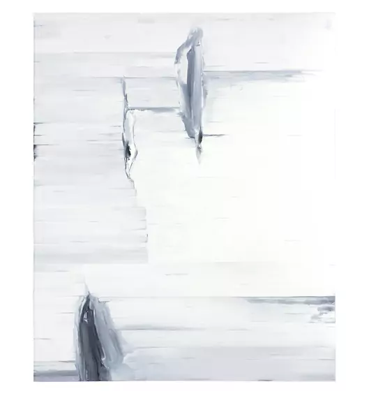 Alois Lichtsteiner — o.T. (Birke) — Galerie Kornfeld