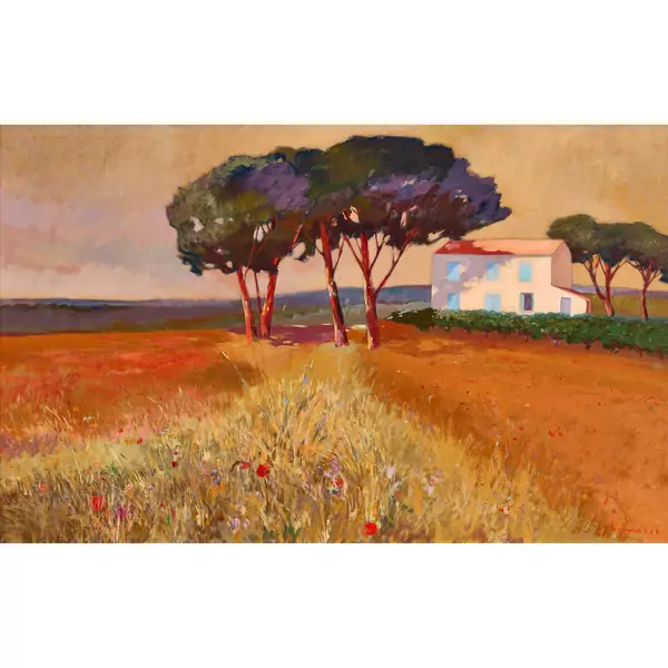 "La maison méridionale"