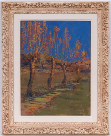 Saules à Montorge