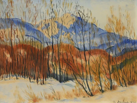 Paysage