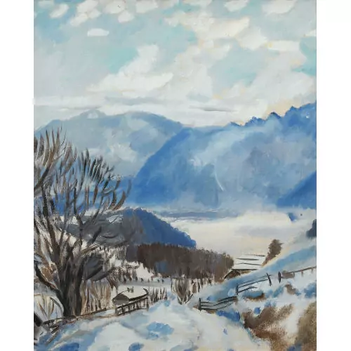 La vallée du Rhône vue de Leysin