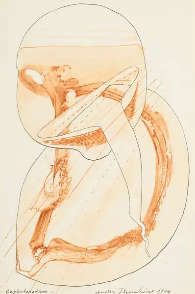 André Thomkins — "Cephalopodium", 1976