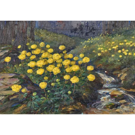 Butterblumen am Bach