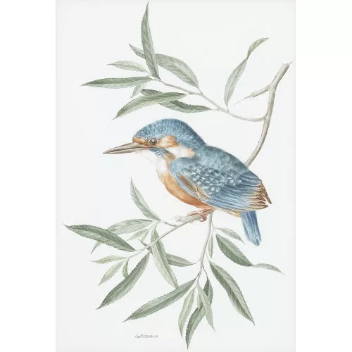 Anne Marie Trechslin — Der Eisvogel.