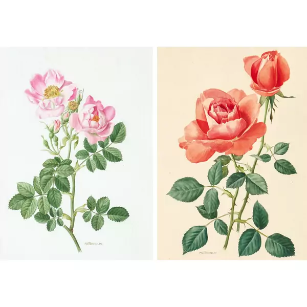 Blühende Rosen. Gegenstücke