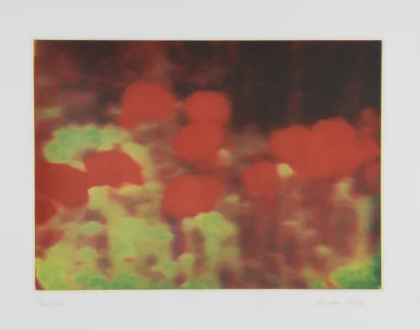 Annelies Štrba — Ohne Titel (2003/3), 2003