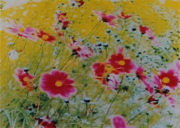 Annelies Štrba — An 152, 2002