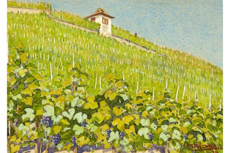 Weinberg Sternhalde in Stäfa