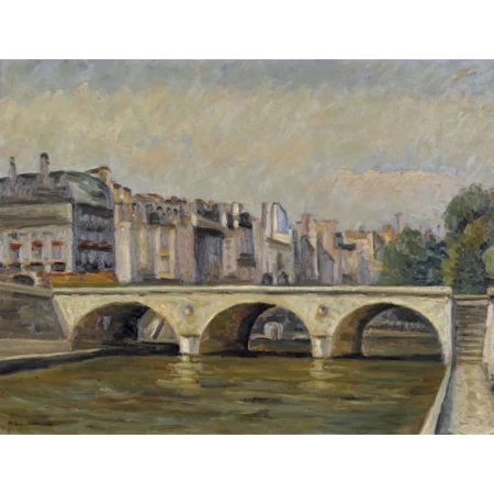 Seinepartie in Paris mit Brücke