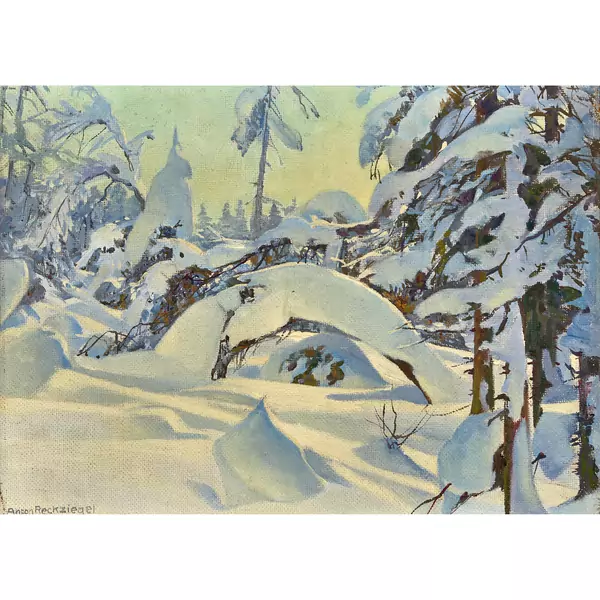 Verschneite Waldlandschaft im Sonnenlicht