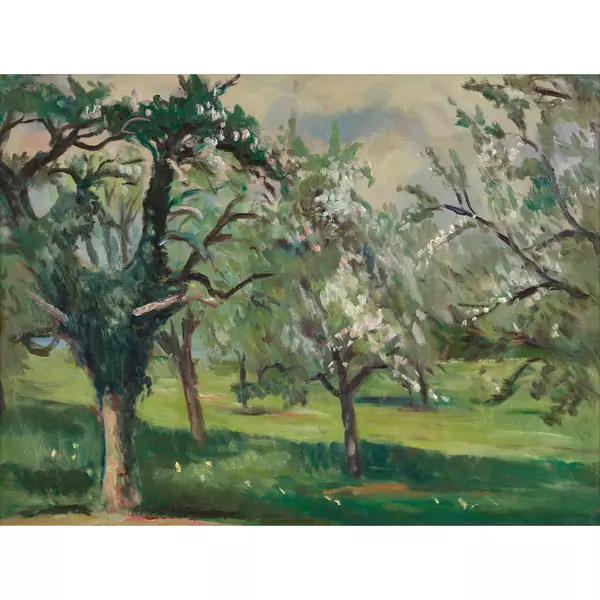 Blühende Obstbäume