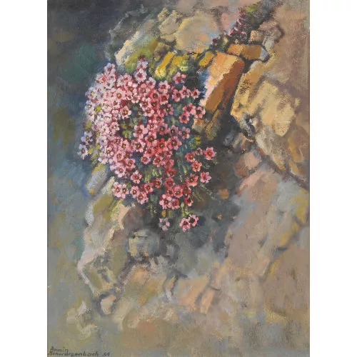 Armin Schwarzenbach — Polsterblumen auf steinigem Grund.