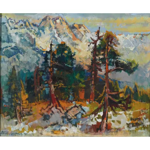 Berglandschaft mit Nadelbäumen