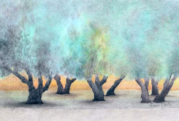 Armin Wydler — Ohne Titel