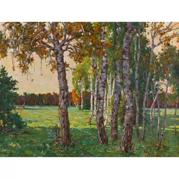 Sonnige Landschaft mit Birkengruppe