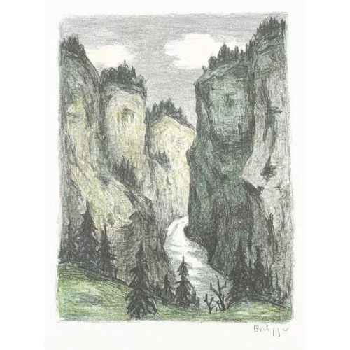 Arnold Brügger — Schlucht bei der Rosenlaui.