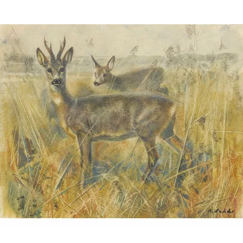 Arnold Schär — "Bock und Geiss im Schilf".