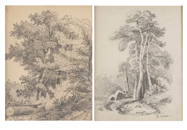 Arthur Calame — Paysage de sous-bois